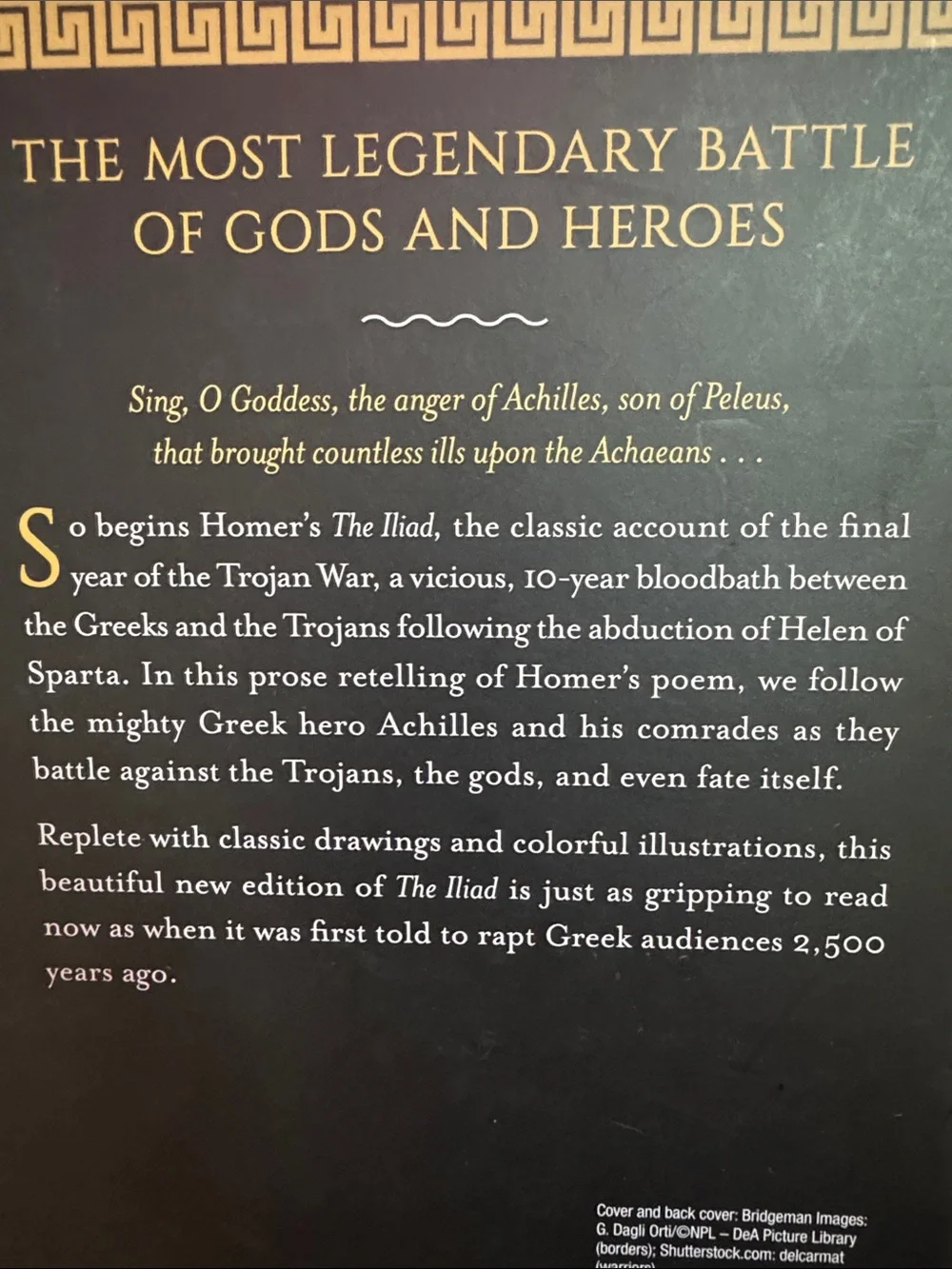 The Illustrated Iliad by Homer - Gold & Black Cover C1.LBk.1